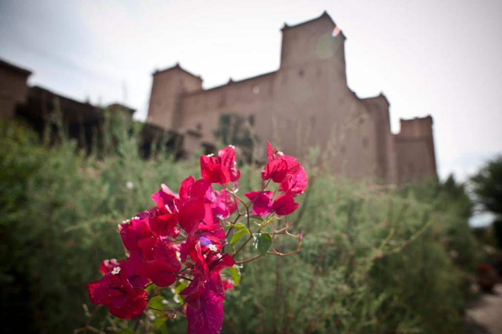 Kasbah Ait Ben Moro Hotel Skoura Buitenkant foto